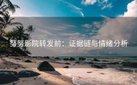 努努影院转发前：证据链与情绪分析